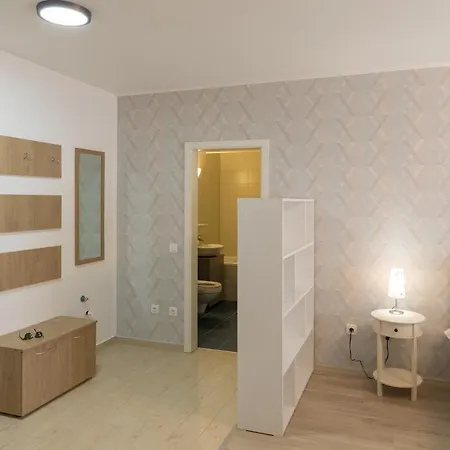 Apartment Lara Luxury B46 Brasov